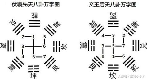 先天後天分別|從經絡體質探討先天五運六氣、五行與後天疾病!